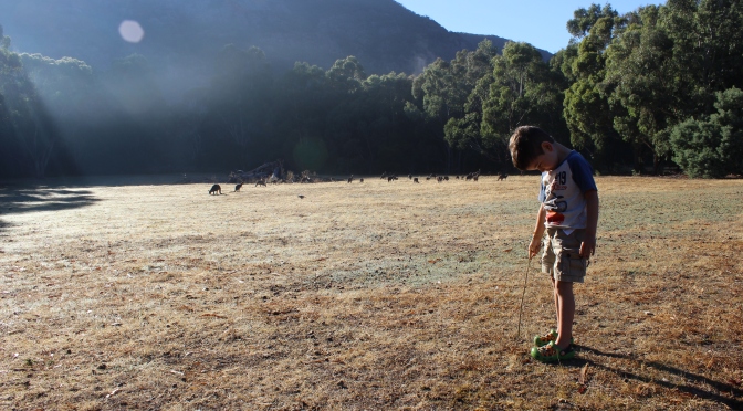 Solitude: To Halls Gap and back
